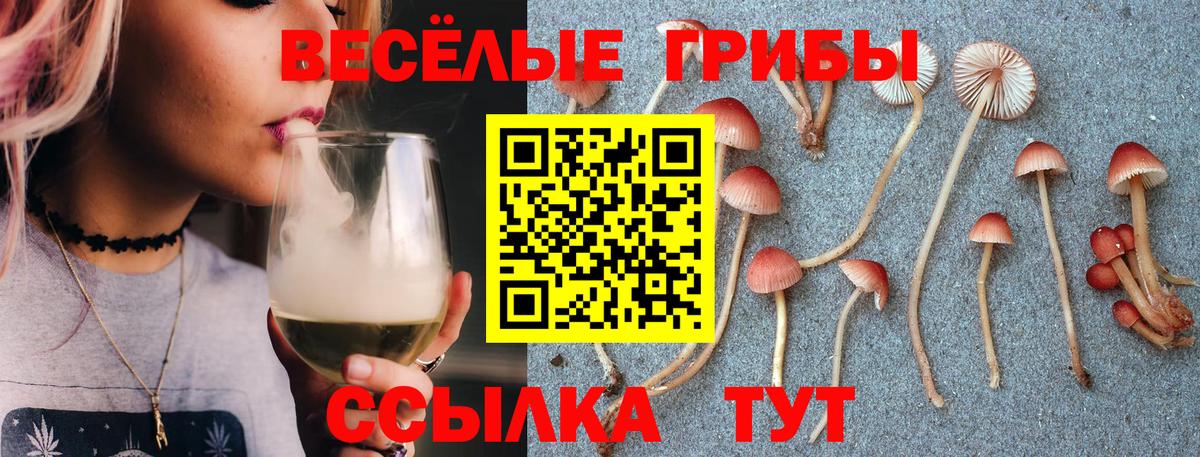 Нефтекумск  Галлюциногенные грибы GOLDEN TEACHER  Псилоцибиновые грибы мухоморы  Вход с VPN 