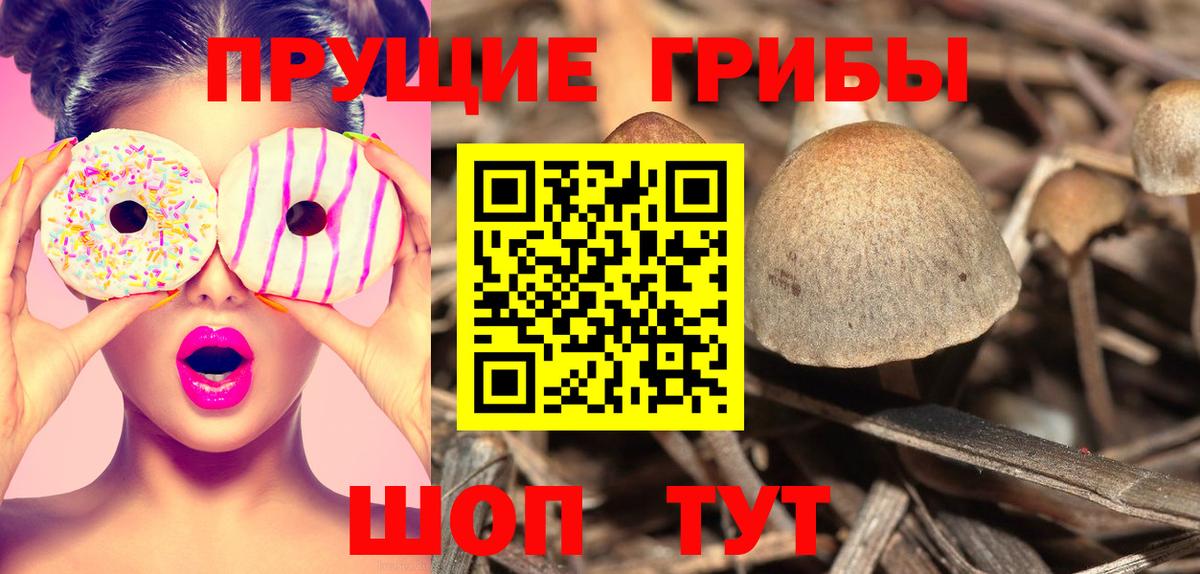 Псилоцибиновые грибы Magic Shrooms Нефтекумск